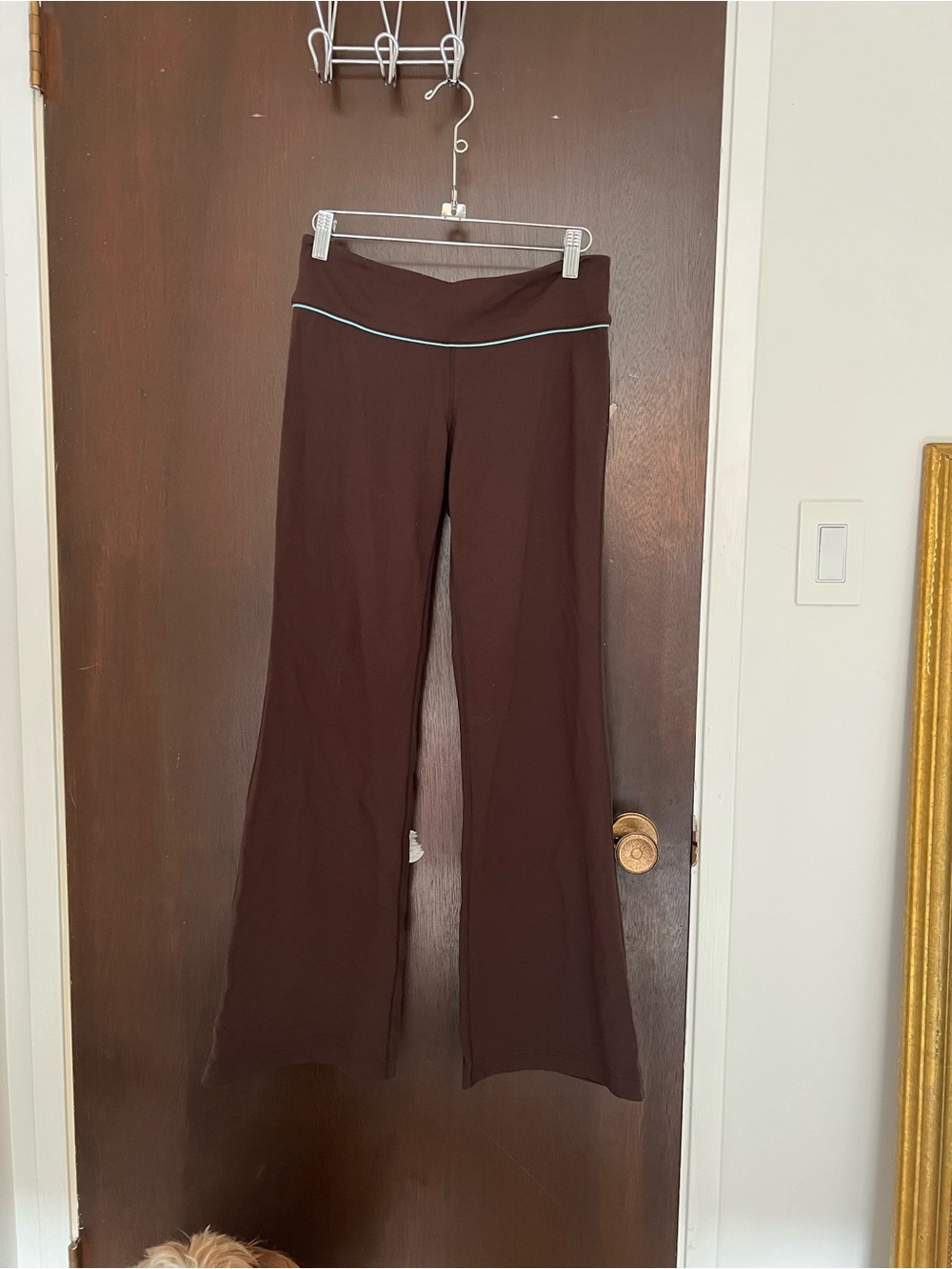 TNA Brown Flared Leggings with Subtle Contrast Waistband